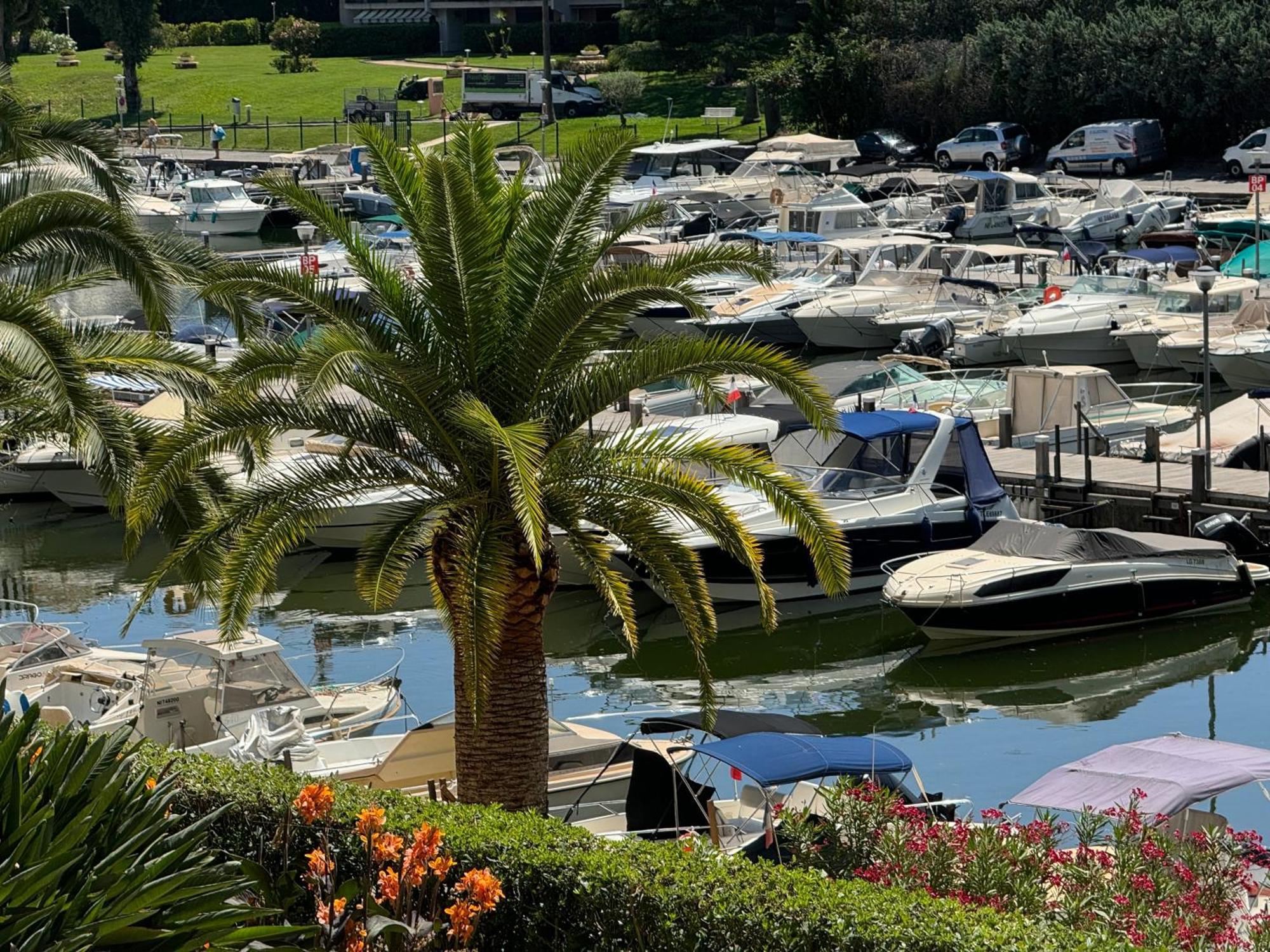 My Resid Appart Cannes Marina Vue Piscine Mandelieu Eksteriør billede